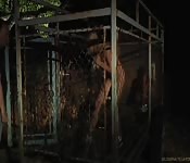 Dos Barbies para mí