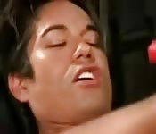 Four cocks having fun