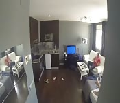 Latina gordita penetrada por el coño